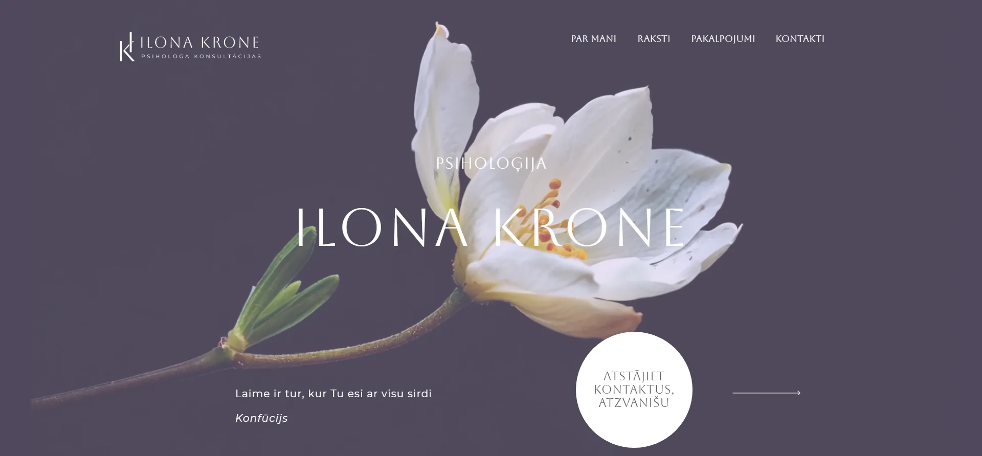 ilonakrone.com